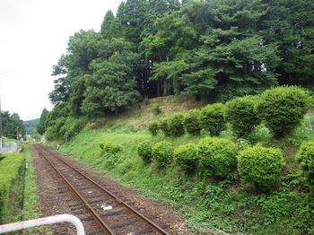 谷人散歩 KIMIOのレポート 加勢駅