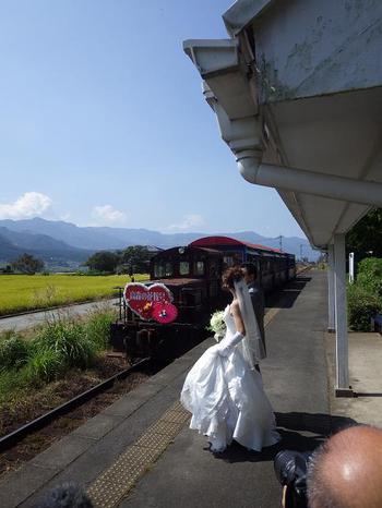谷人散歩　KIMIOのレポート　結婚式
