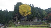 谷人散歩　KIMIOのレポート　栃木　鮎返りの滝