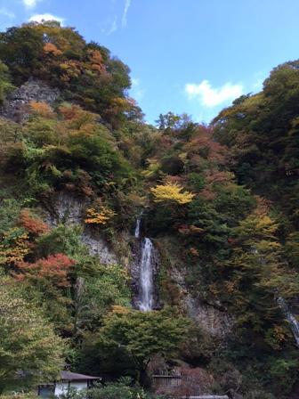 谷人散歩 KIMIOのレポート 紅葉スイッチON?
