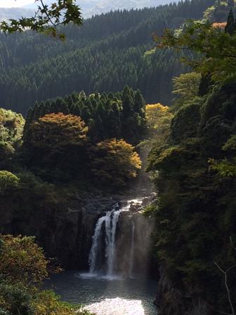 谷人散歩 KIMIOのレポート 紅葉スイッチON?