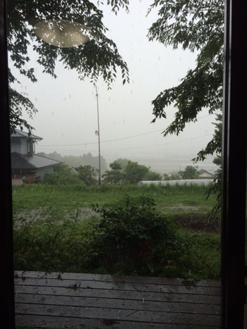 谷人散歩 KIMIOのレポート 梅雨入り