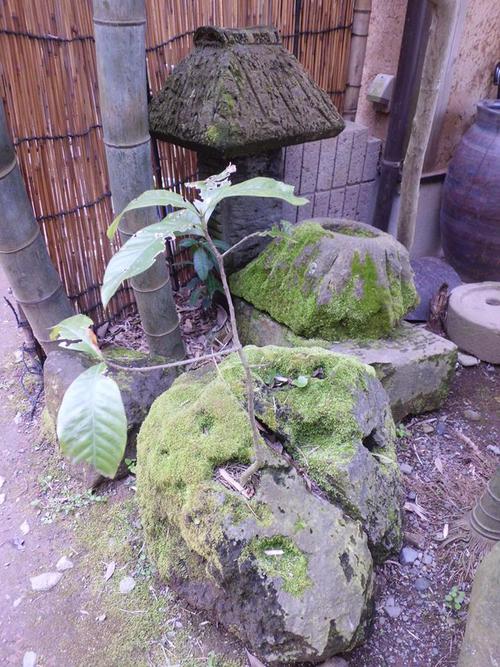 美味しいだご汁(。◠‿◠。)