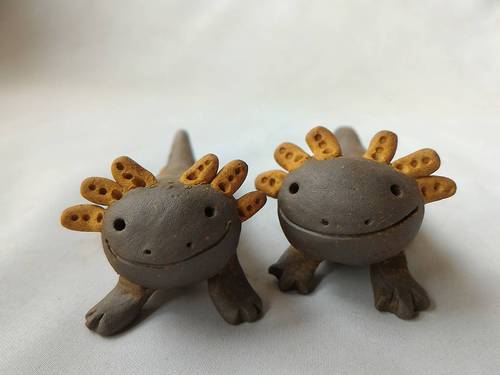 ウーパールーパー ウーパールーパー