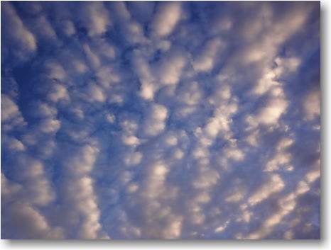 羊雲 羊雲
