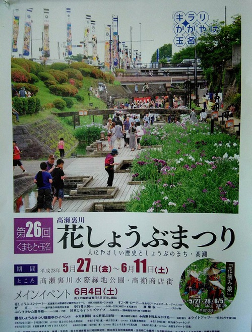 2016 高瀬裏川花しょうぶまつり 2016 高瀬裏川花しょうぶまつり