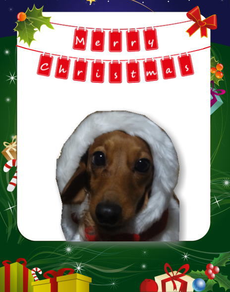 メリークリスマス☆彡