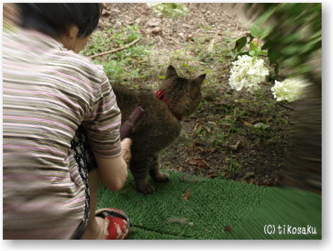 ほのぼのなふたり