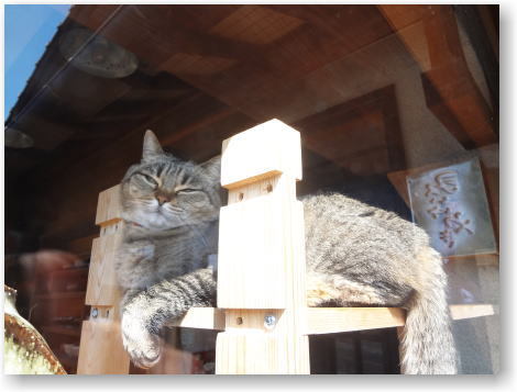 猫好きなお客様♪