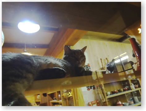 店番中のムーちゃん 店番中のムーちゃん