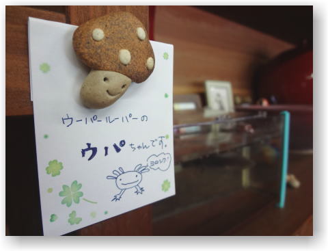 ウパちゃんの紹介