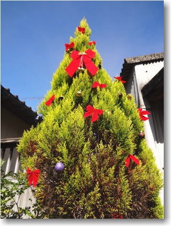 クリスマス飾り クリスマス飾り