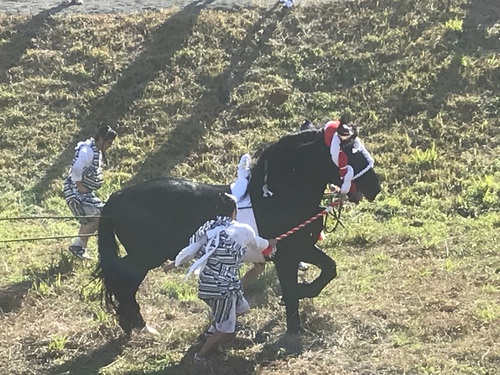 八代妙見祭 八代妙見祭
