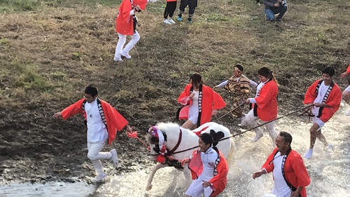 八代妙見祭 八代妙見祭