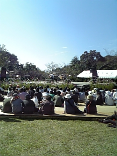 中尾山コスモス祭り