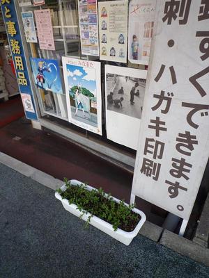 ぐんぐん育ってね♪