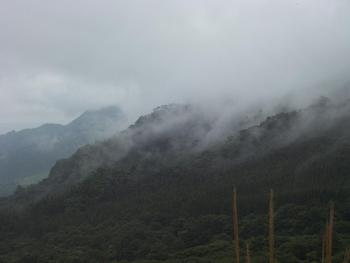 谷人散歩 KIMIOのレポート 梅雨明けは・・・?