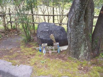 谷人散歩 KIMIOのレポート 西南の役公園