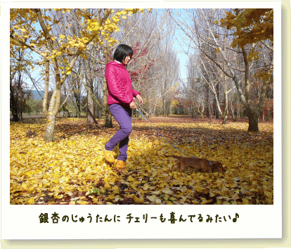 紅葉きれい♪