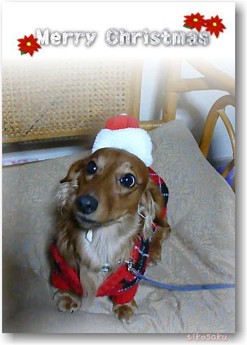 メリークリスマス♪