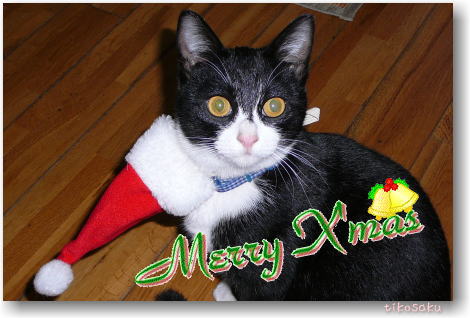 メリークリスマス♪