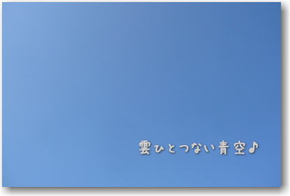 本日は晴天なり～