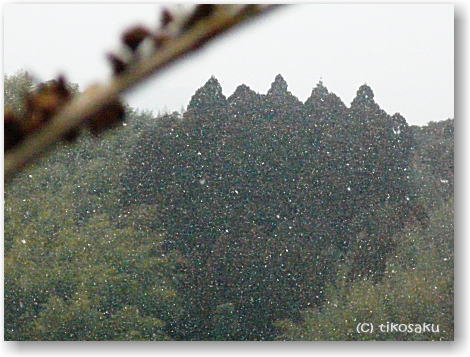 雪