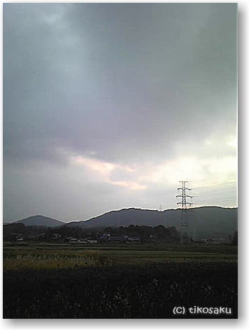 朝市