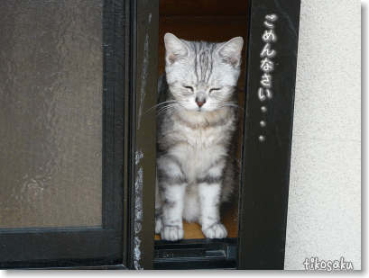 犯人はだれだ!