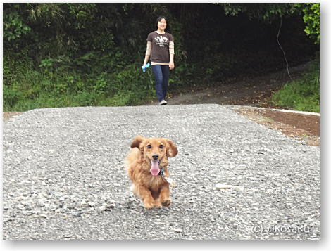 狂犬病予防注射