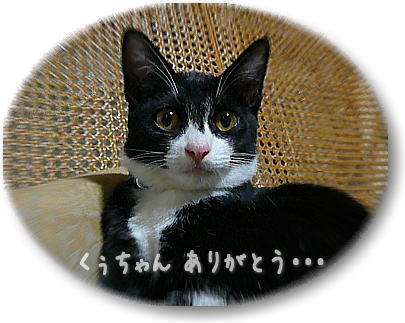 くぅちゃん ありがとう・・・