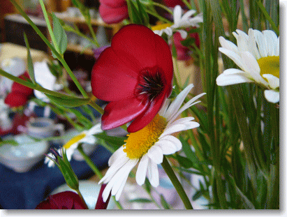 ハーブの花