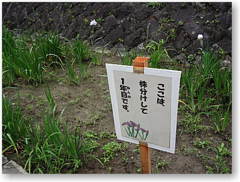 賑わった日曜日♪