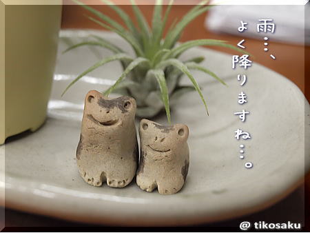 エアープランツ