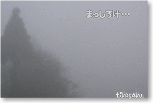 霧の朝