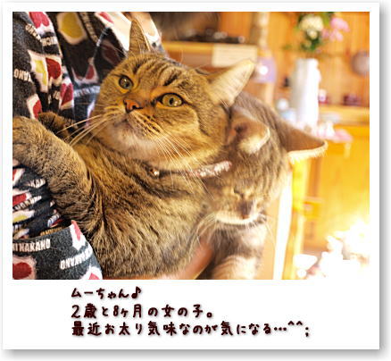 今日はペットたちを撮ってみる^^