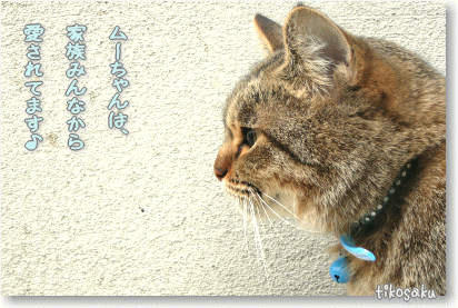 ムーちゃん成長中~