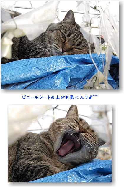 居心地のいい場所(=‘x‘=)