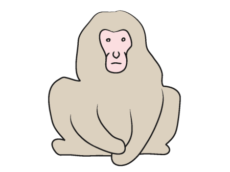 野生のサル