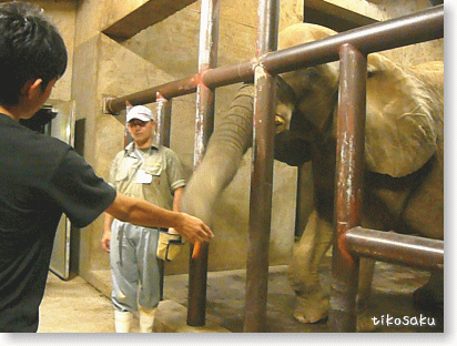 夜の大牟田動物園
