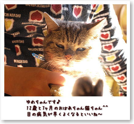 今日はペットたちを撮ってみる^^