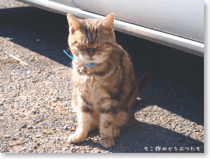 久しぶりにゆめちゃん登場♪