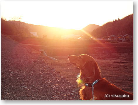 今日の夕日もキレイでした♪