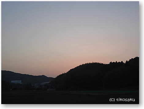 優しい色の夕焼け