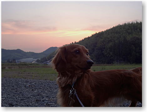 好みの一枚♪