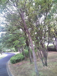 2009年05月22日