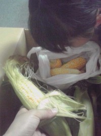 とうもろこし