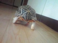 でかっ！