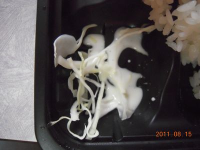 美味亭(うまいてい)からあげ弁当