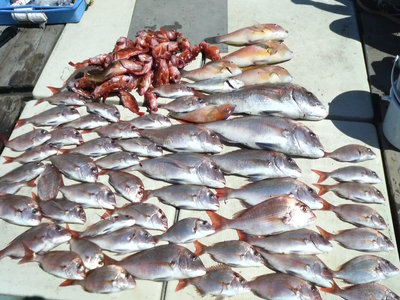 熊本・天草・湯島の釣り船！乙姫丸です（*^_^*）